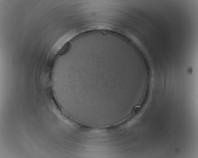 X0000115180977200911251352