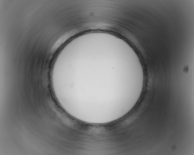 X0000115180978200911251352