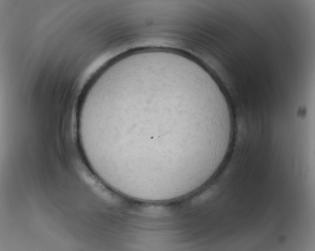 X0000115180982200911251352