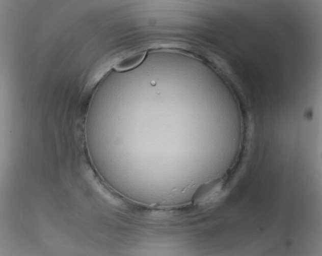 X0000115180985200911251352