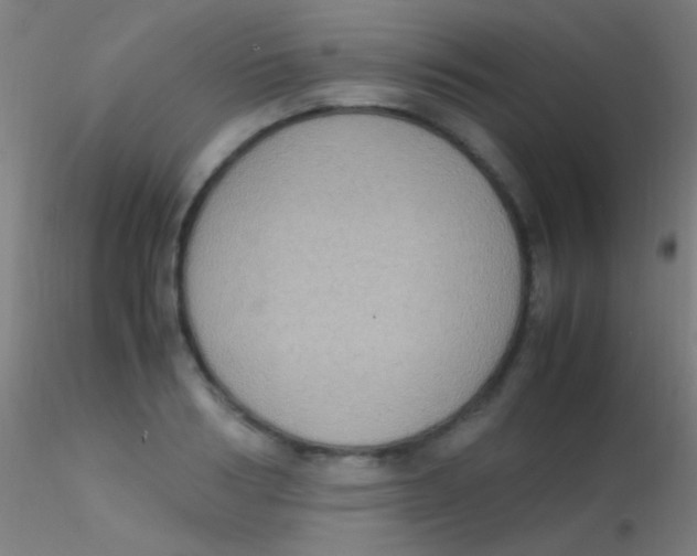 X0000115180986200911251352