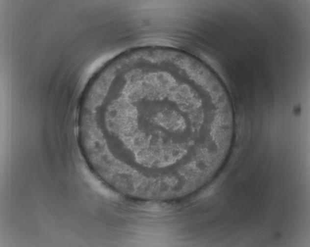 X0000115180987200911251352