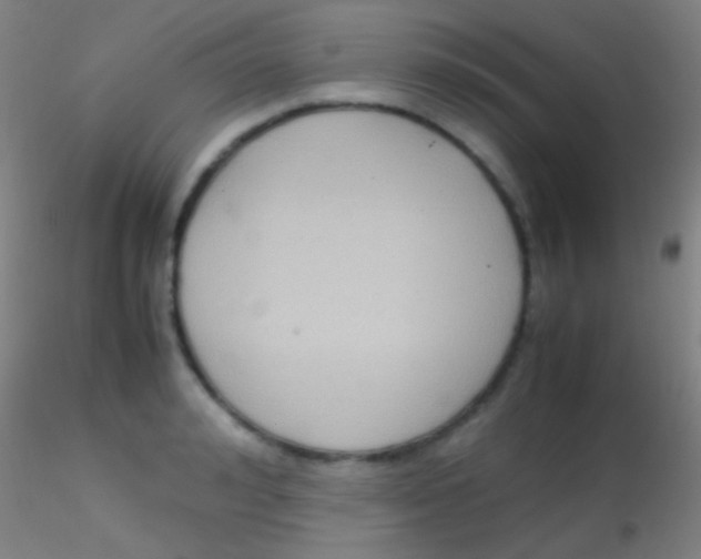 X0000115180992200911251352