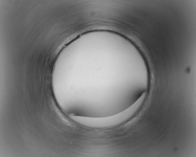 X0000115180993200911251352