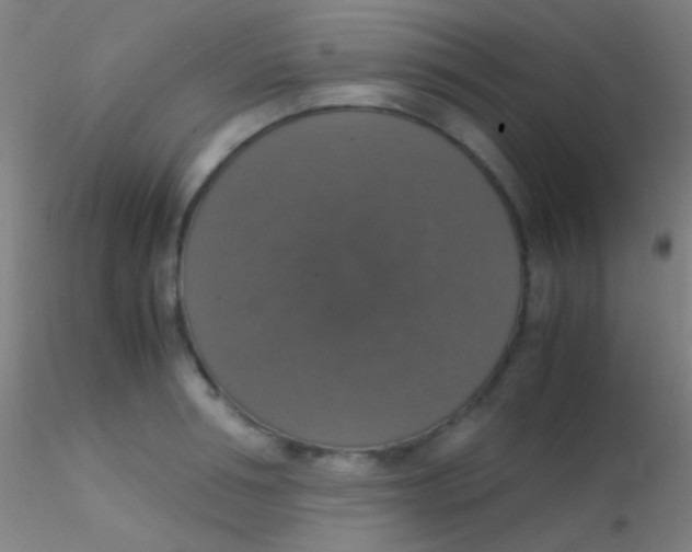 X0000115180994200911251352