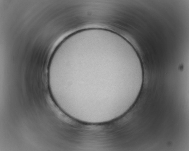 X0000115180996200911251352