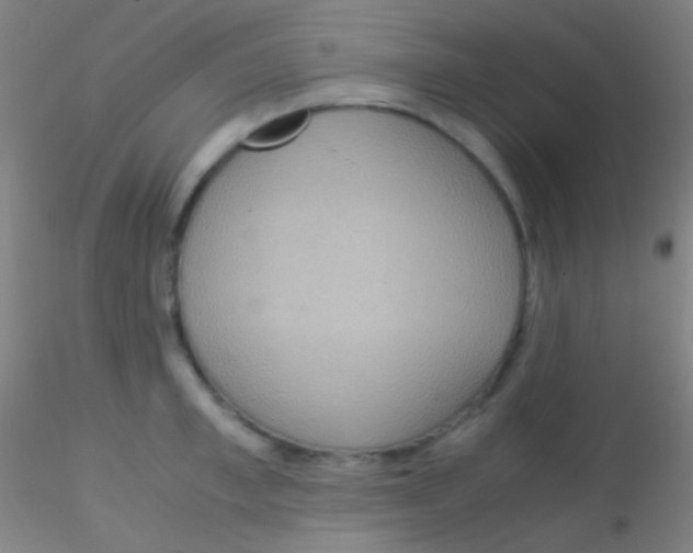 X0000115180997200911251352