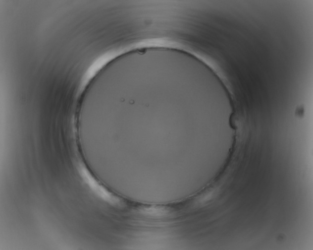 X0000115180998200911251352