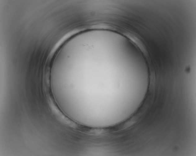 X0000115181000200911251352