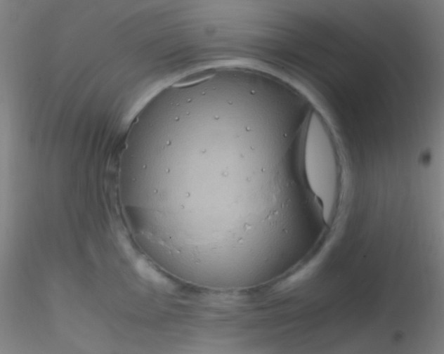 X0000115181001200911251352