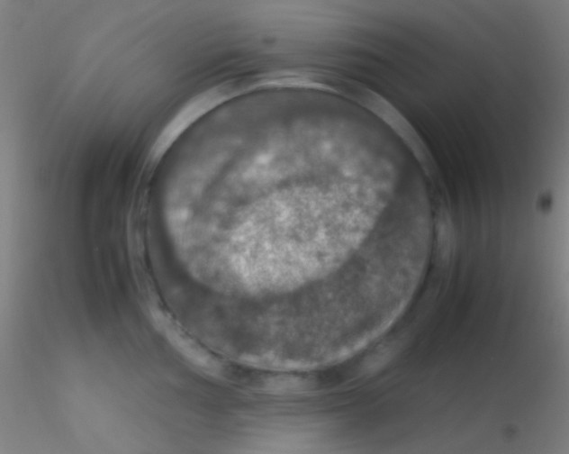 X0000115181002200911251352