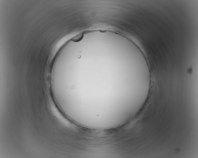 X0000115181003200911251352