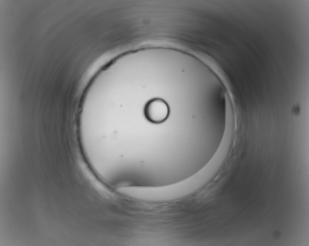 X0000115181005200911251352