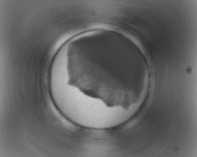 X0000115181007200911251352