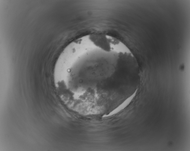 X0000115181009200911251351