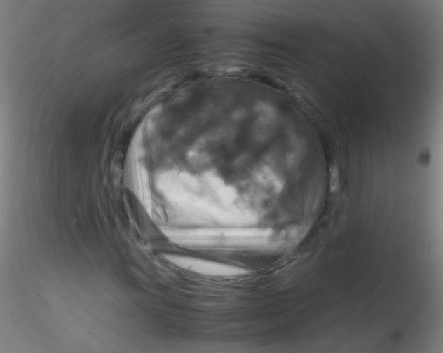 X0000115181011200911251351