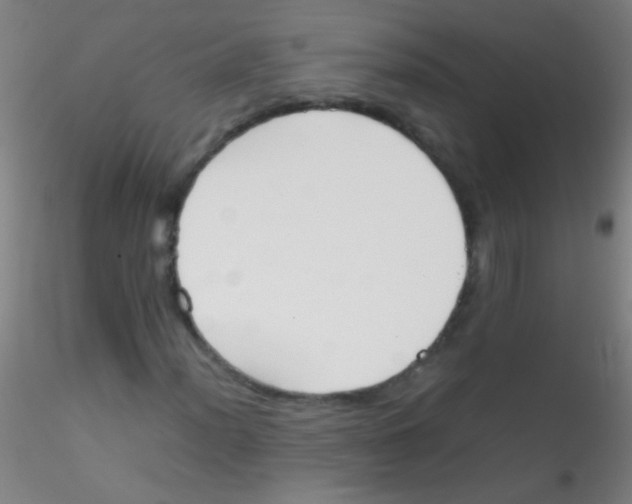 X0000115181012200911251351