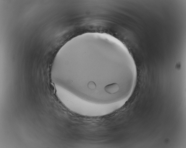 X0000115181013200911251351