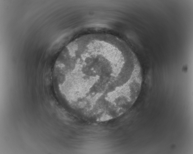 X0000115181014200911251351
