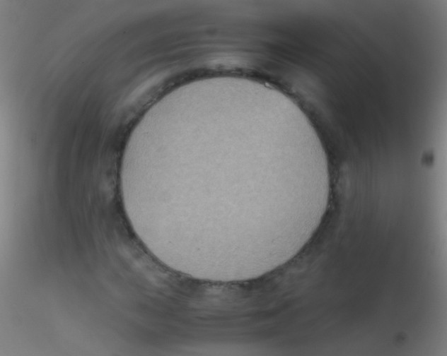 X0000115181015200911251351