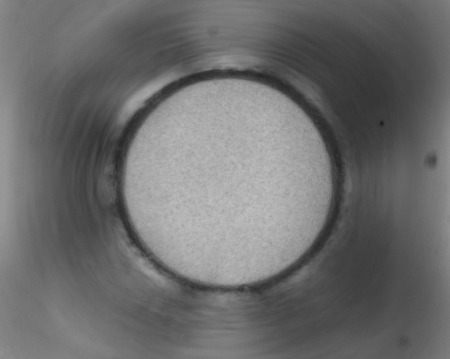 X0000115181018200911251351