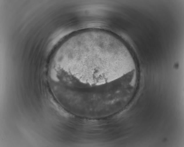 X0000115181019200911251351