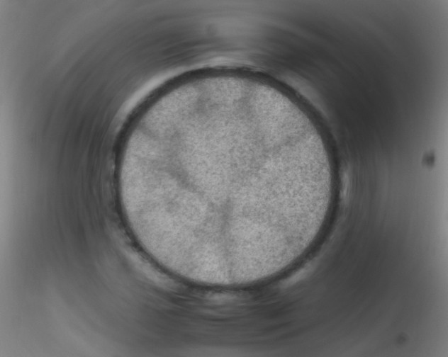 X0000115181021200911251351