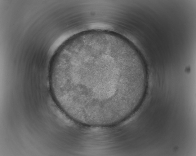 X0000115181022200911251351