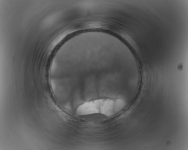 X0000115181023200911251351