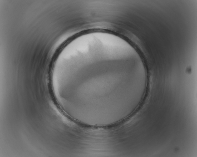 X0000115181024200911251351