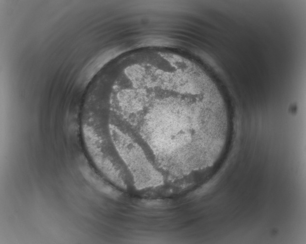 X0000115181025200911251351