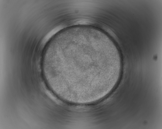 X0000115181026200911251351