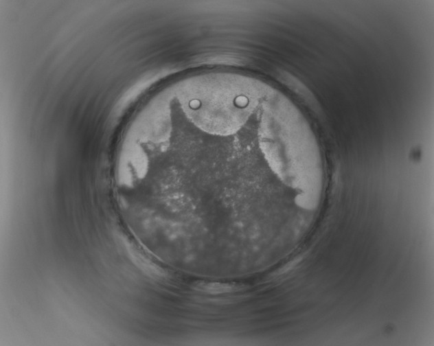 X0000115181027200911251351