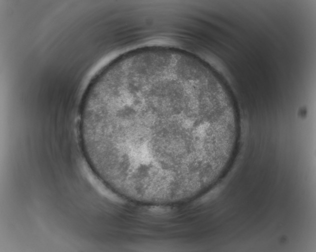 X0000115181029200911251352