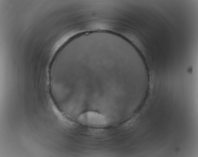 X0000115181031200911251352