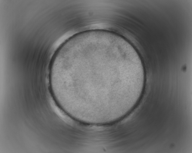 X0000115181034200911251352