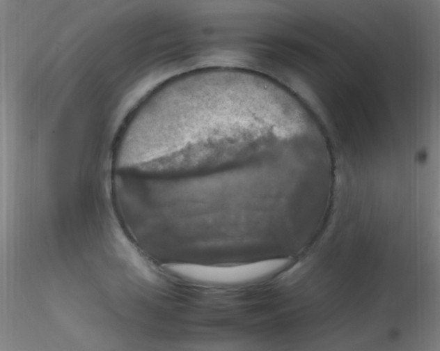 X0000115181035200911251352