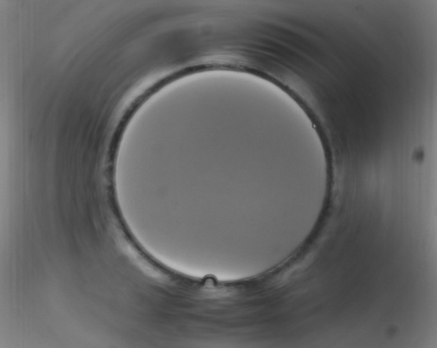 X0000115181037200911251352