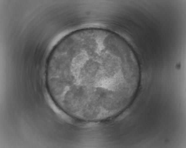 X0000115181038200911251352
