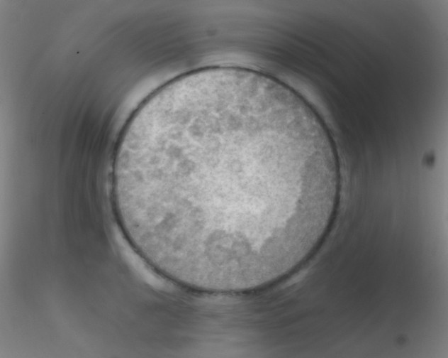 X0000115181040200911251352