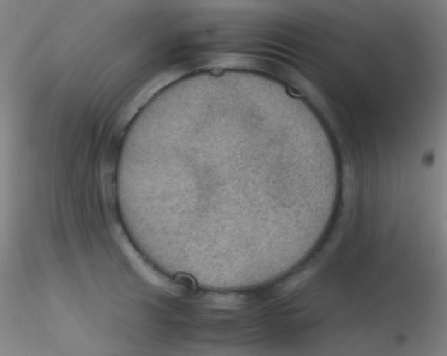 X0000115181041200911251352