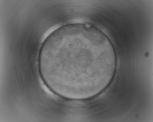X0000115181042200911251352