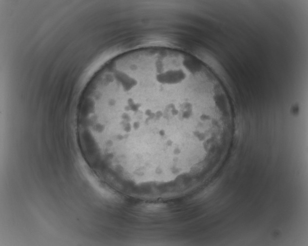 X0000115181043200911251352
