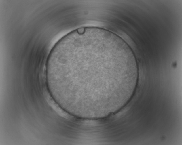 X0000115181044200911251352
