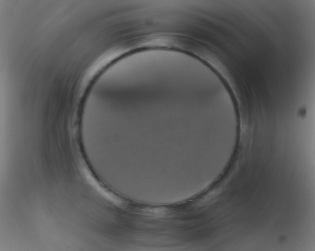 X0000115181045200911251352