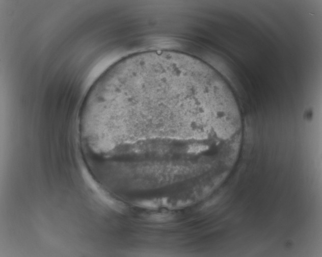 X0000115181047200911251352