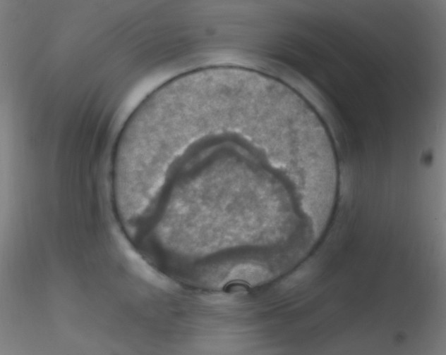 X0000115181048200911251352