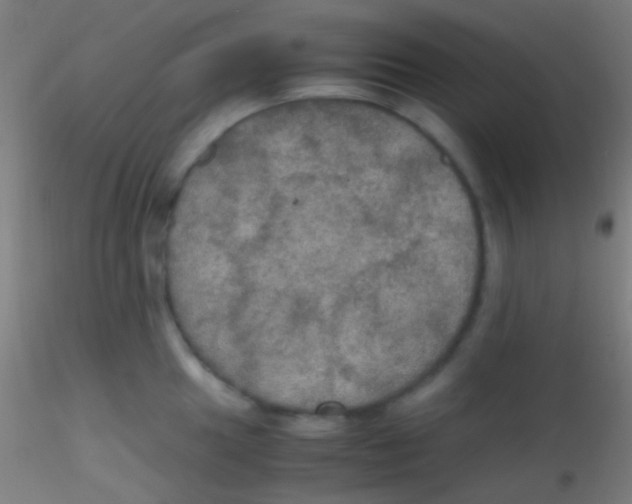X0000115181049200911251352