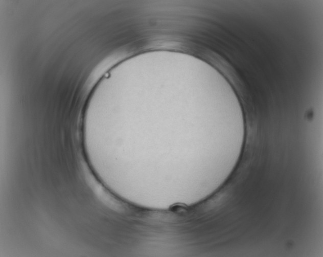 X0000115181050200911251352