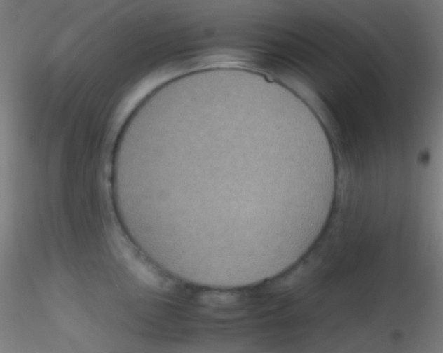 X0000115181051200911251352
